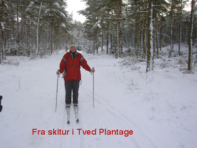 Skitur   Tved plantage